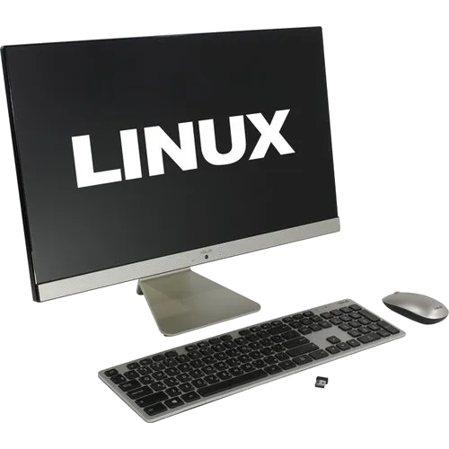 Asus V241ICUK-BA136D